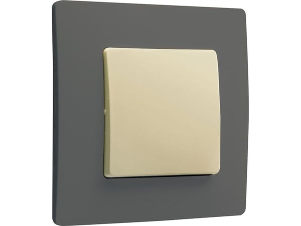 Legrand NILOE yksittäinen asennuskehys 665031