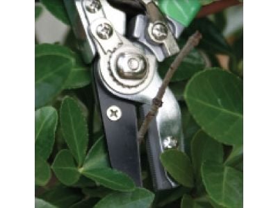 Hagesaks Modeco MN-08-102 buet