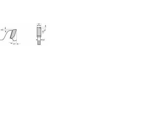 Bosch RUNDSAVKLINGE 160X20X2,6MM 24T EXP TRE