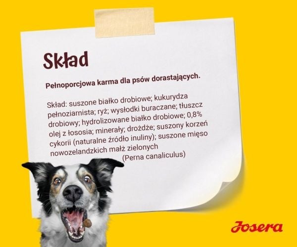 Josera Kids, Valp, Alle hunderaser, 900 g