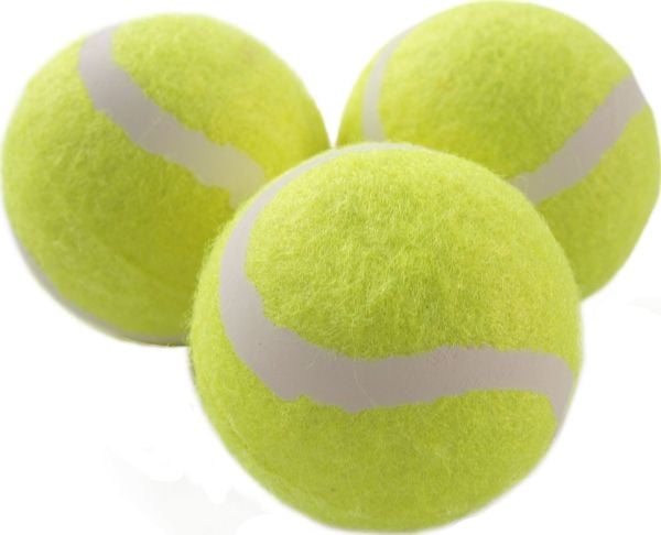 Schildkrot Outdoor Tennis Baller Schildkrot Magic-Sports, 3 stk.