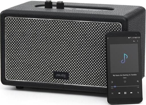 Platinet CRUDE, 30 W, 30 W, Ledning & Trådløs, 10 m, Stereo bærbar høyttaler, Sort, Grå
