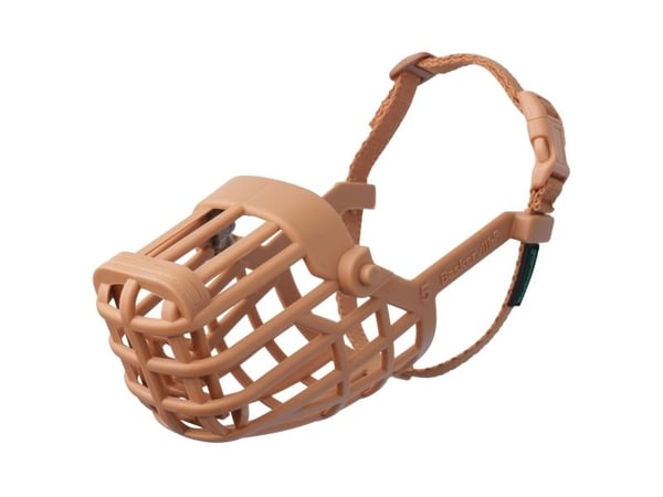 Baskerville halsbånd/bitt til hund CLASSIC 7 beige, lengde 7 cm, omkrets 30 cm