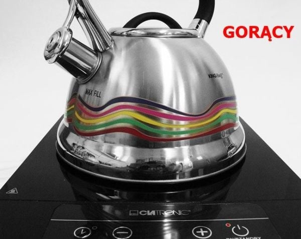 Vattenkokare Traditionell vattenkokare 2,7 l, rostfritt stål, Klausberg