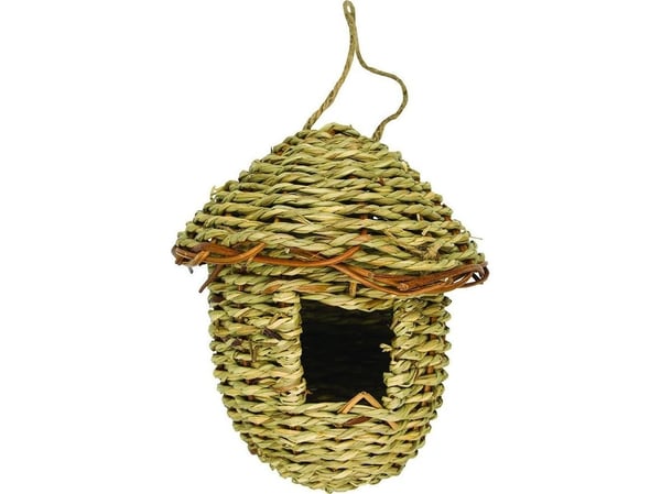 Panama Pet tang reir 14 x 16 cm