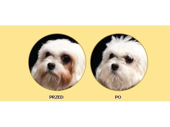 Nature’s Protection Superior Care White Dogs Adult Small - Fôr til hvite små hunder 1,5 kg