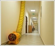 Master BL 8800 Stående ventilaattori 700 W (L x B x K) 560 x 550 x 600 mm Gul