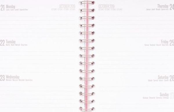 Pusheen Pusheen - Planner 2019/2020 år (15,5 x 19 cm) universell
