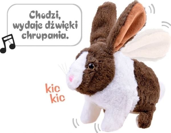 Jokomisiada (ZA2685)