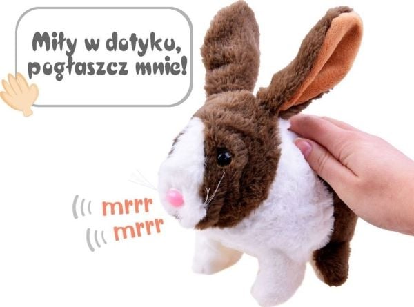 Jokomisiada (ZA2685)