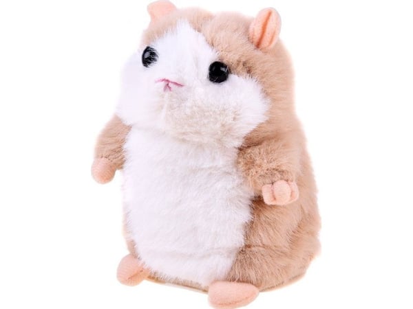 Yokomisiad toistava puhuva hamsteri (ZA3453)