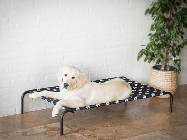 Hobbydog ligge-/hundeseng Iron, svart med labber, str. XXL