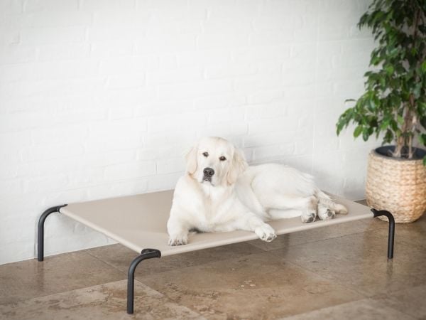 HOBBYDOG XXL RAUTAINEN VUODEVAATTEET BEIGE