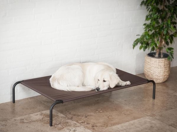Hobbydog hundeseng i jern, brun, str. XXL