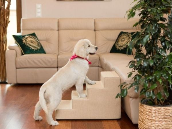 HOBBYDOG LARGE STAIRS INARI BEIGE 40CM HIGH