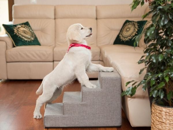 SMALL STAIRS HOBBYDOG INARI GRAY 30CM HIGH