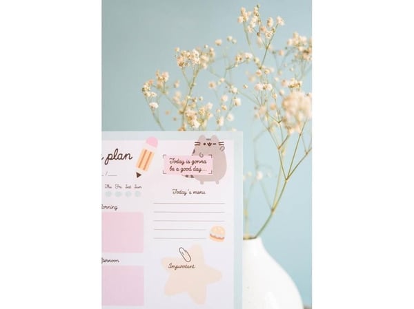 Pusheen Planner dagbøker fra Foodie-kolleksjonen