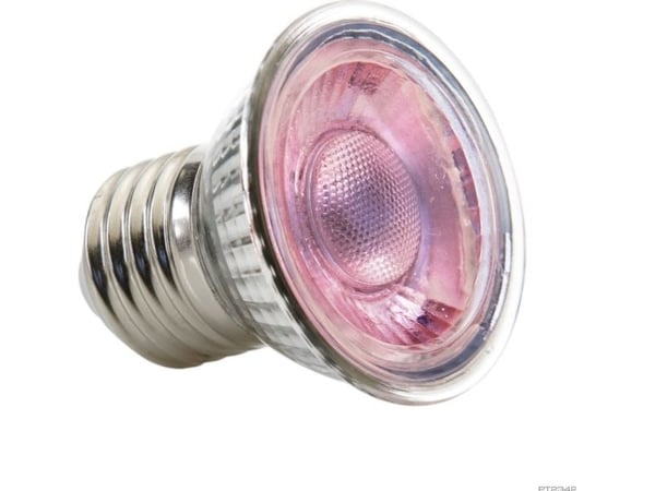 Exo Terra-lampe Exo Terra NANO Daylight LED spot 5W