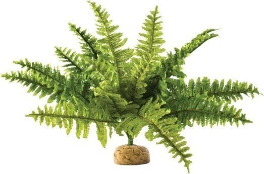 Exo Terra kunstig plante – Boston Fern, M Exo Terra kunstig plante – Boston Fern, M