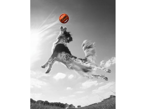 Happy Dog leksak Durafoam Bomber, 15 cm, orange