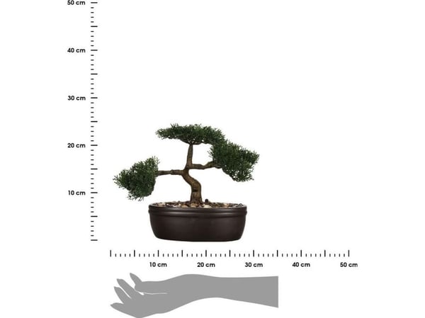 Atmosphera Bonsai puu sortj ruukussa 23 cm