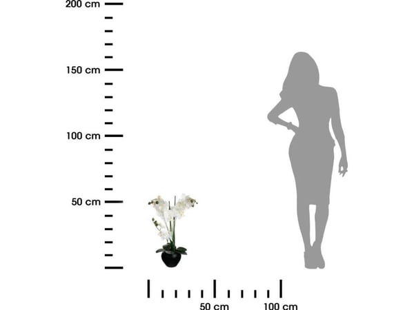 Atmosphera orkidea sortj ruukussa 53 cm