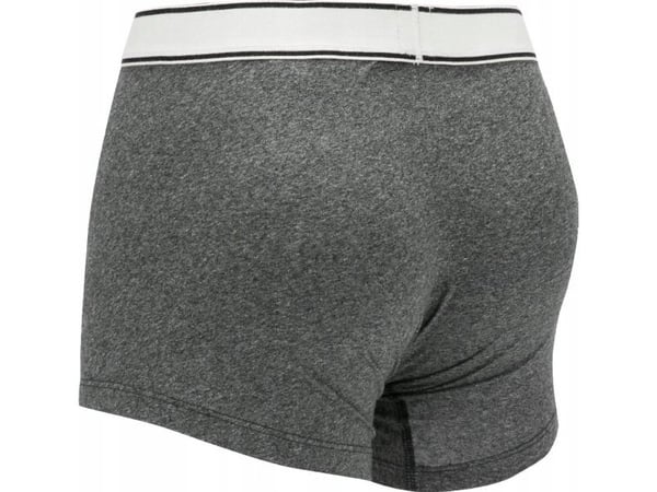 Levi`s Levi's Boxer 2 Pairs Briefs 37149-0398 pilka S
