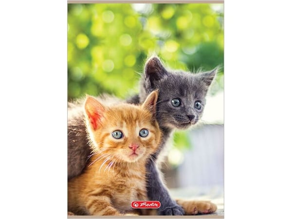 Herlitz skrivebok A4/32K ruter Animals (10 stk)