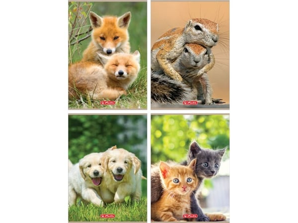 Herlitz skrivebok A4/32K ruter Animals (10 stk)