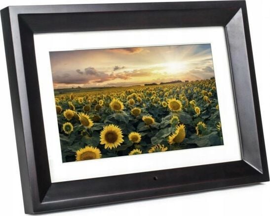 Kodak RDPF-1020W BK, 25,6 cm (10,1"), 1024 x 600 piksler, BMP, JPEG, JPG, AVI, MP4, MPEG, MPEG1, MPEG2, MPEG4, MPG, MP3, WMA, MMC, SD