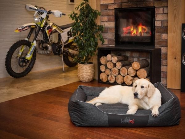 Hobbydog XXL COMFORT MUSTA EKOLEN MUSTA