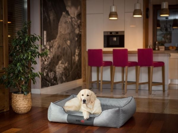 Hobbydog XXXL COMFORT harmaa
