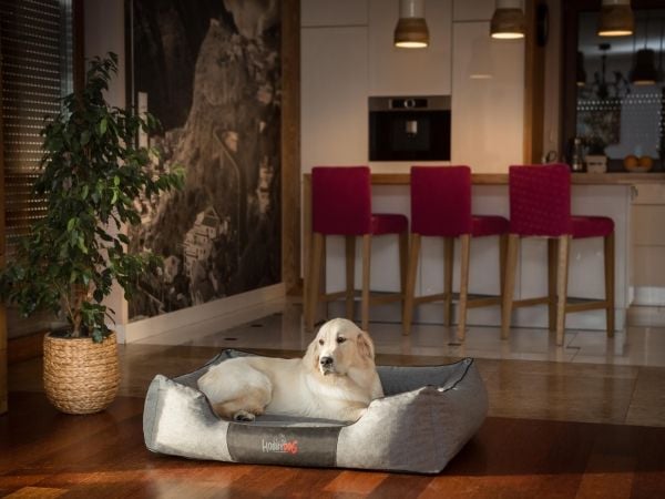 Hobbydog L Comfort mørkegrå Ekolen hundeseng