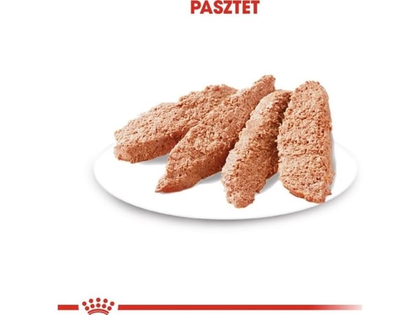 Royal Canin CCN Dog Dermacomfort Loaf 12x85 g