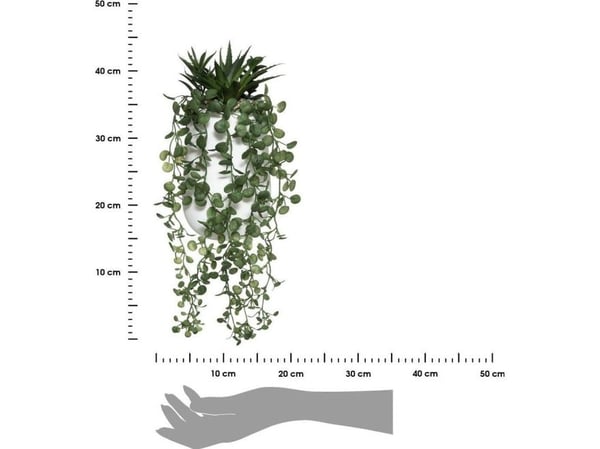 Art-Pol kunstig plante PEPEROMIA, hengende