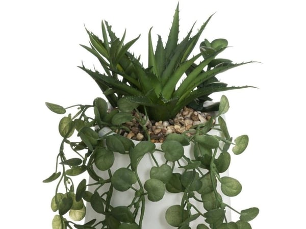 Art-Pol kunstig plante PEPEROMIA, hengende