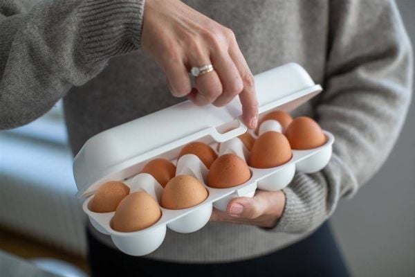 Koziol Eggs to Go 3179525 valkoinen