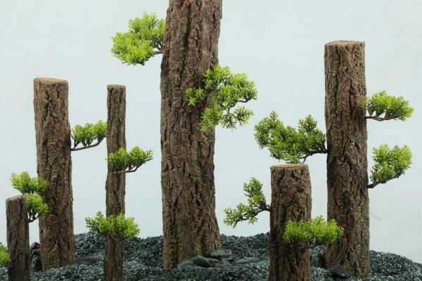 Zolux Dekoration akvarium Forest XXL