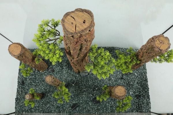 Zolux Dekoration akvarium Forest XXL