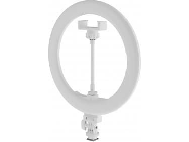 Žiedinis Šviestuvas Newell RL-10A Arctic Baltas LED + Stovas