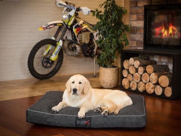 Hobbydog L-madrass CZARNY EKOLEN