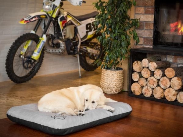 Hobbydog R1 matta ECO grå