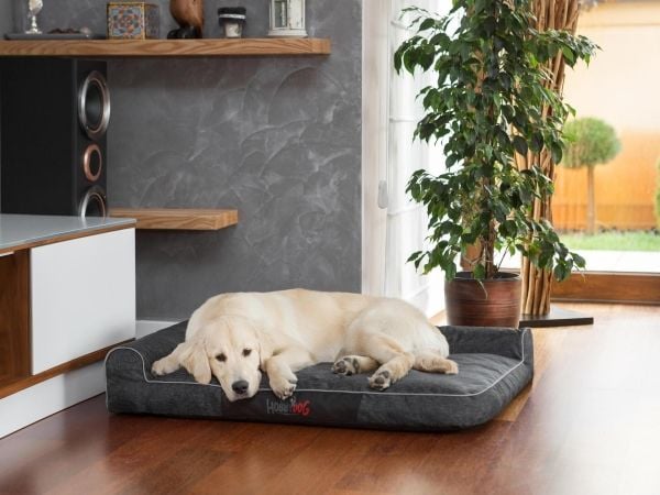 Hobbydog hundeseng/liggeplass Best Czarny økologisk str. XL