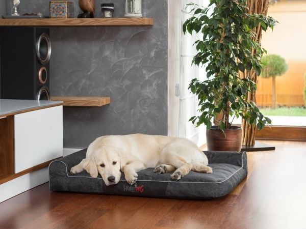 Hobbydog hundeseng Best svart økologisk str. XXL