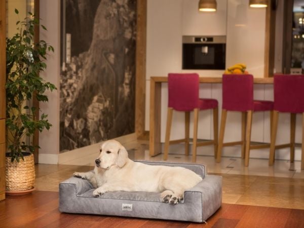 Hobbydog Hundeseng Glamour Ny, grå, fancy, XL