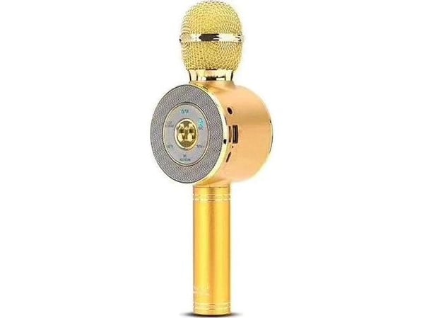 Vega Karaoke Gold Microphone
