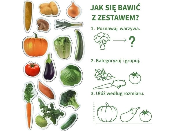 Maksik Kasvismagneetit MV 6032-12