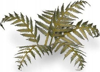 Gamers Grass: Laser Plants - Bracken - Paproc