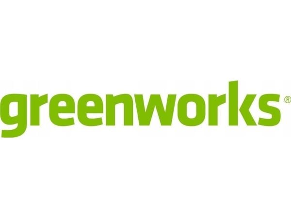 Varmepistol Greenworks (GR3400207)