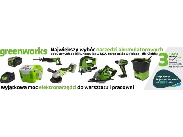 Varmepistol Greenworks (GR3400207)